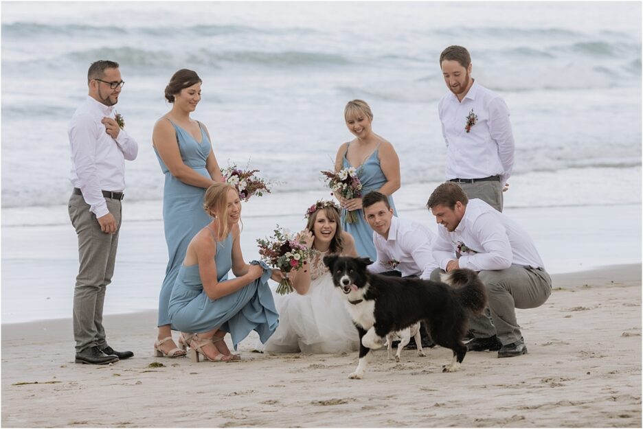 Bridal party playing with puppy and dog