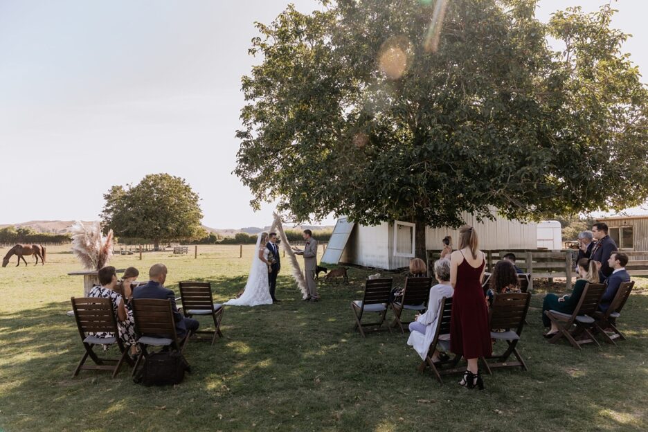 Hawkes Bay farm wedding ceremony in progress