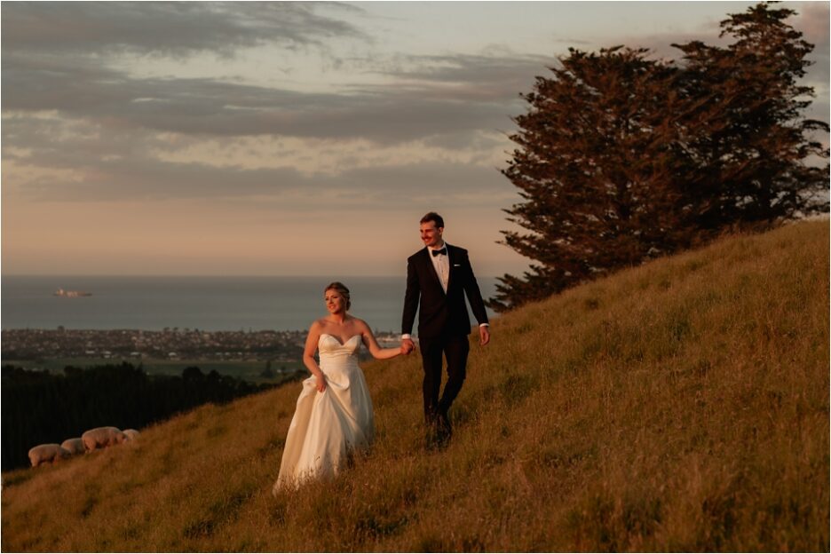 Country scene with the Pacific Ocean behind wedding couple looking at the sunset
