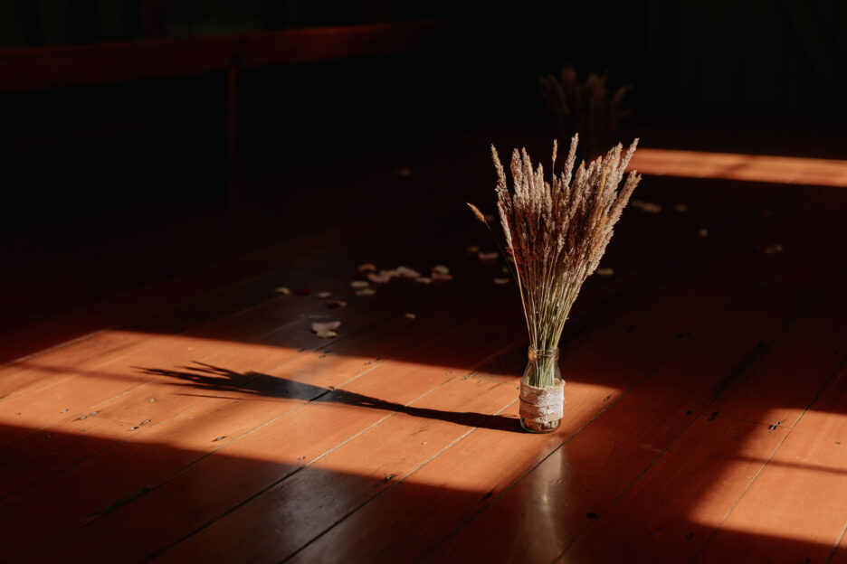 Details of dried flowers in sunlight