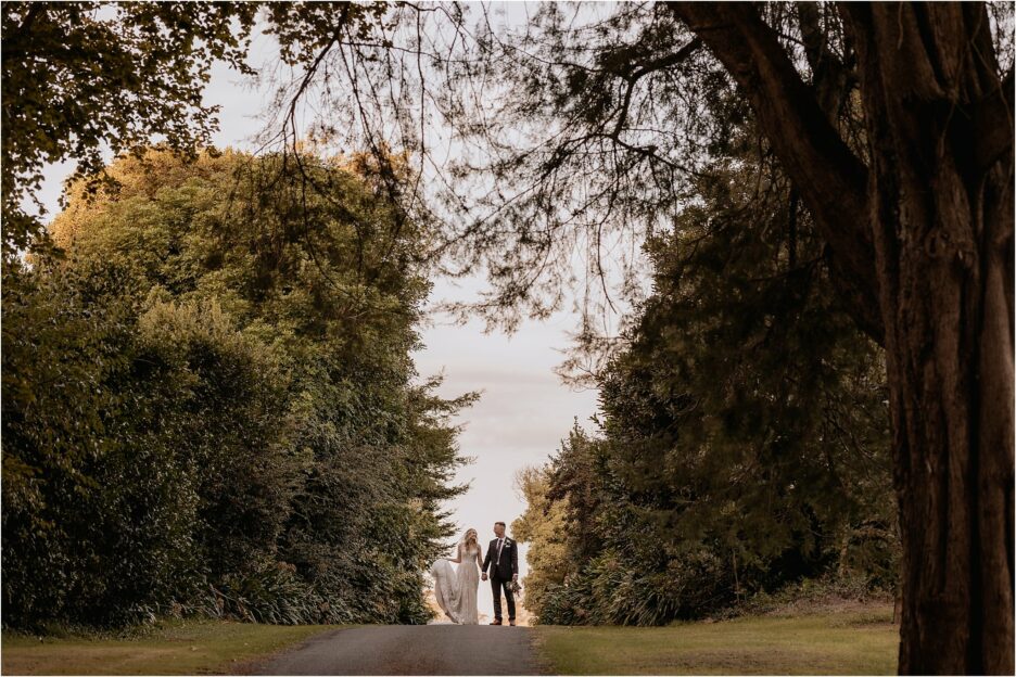 big country trees on driveway during wedding shoot