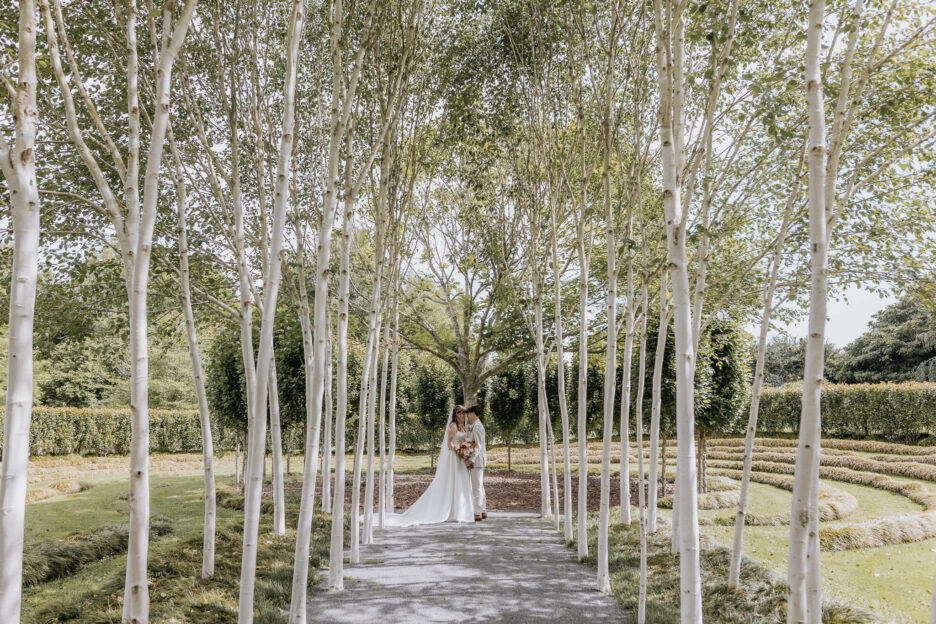 photos in white burch trees Old tree church