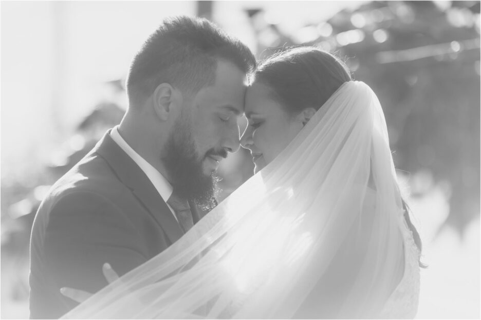 soft sunlight coming through the vines hitting bride and groom during photos