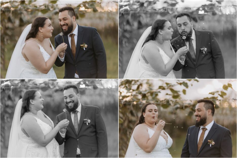 bride and groom blowing fairy thistles ebony vines maketu