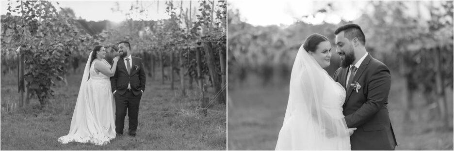 wedding photos taken infront of kiwifruit vines ebony vines wedding venue