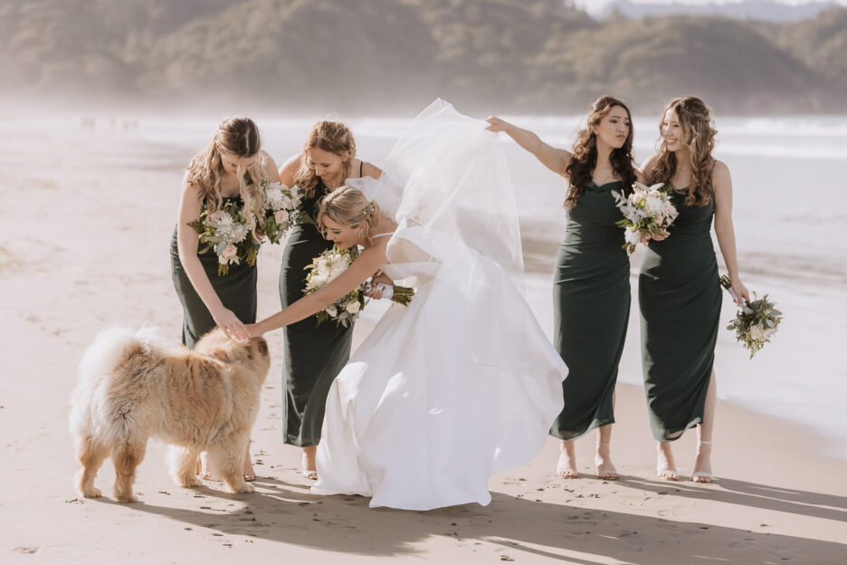 bride pats slobbery dog bridesmaid looks disgusted