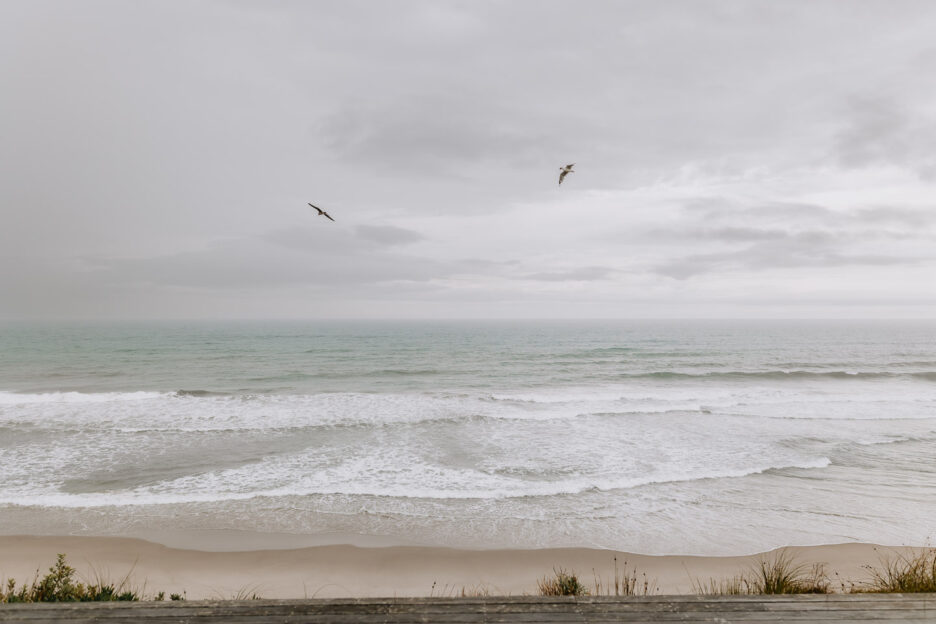 beach scene at Pukehina seagulls flying