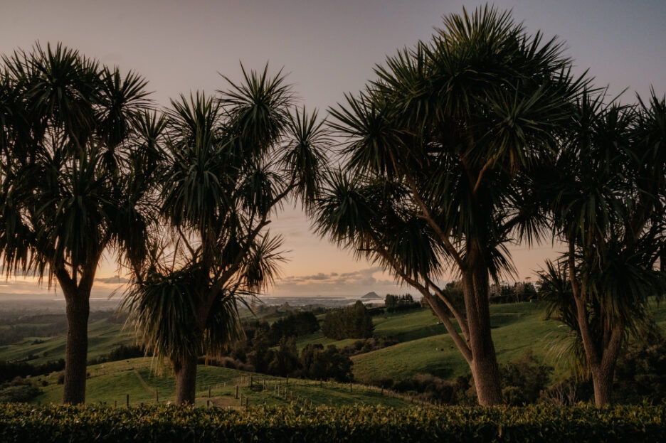 sunset at eagle ridge views of mount maunganui